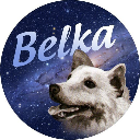 Belka BLK cryptocurrency
