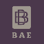 BAEPAY BAEPAY