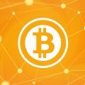 Bitcoin / BTC cryptocurrency