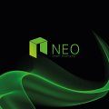 NEO / NEO cryptocurrency
