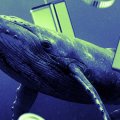 Bitcoin Whales Were Urging Friends to Buy Zcash Before Its Rally to $1,000
