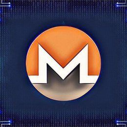 Monero cryptocurrency perspectivity