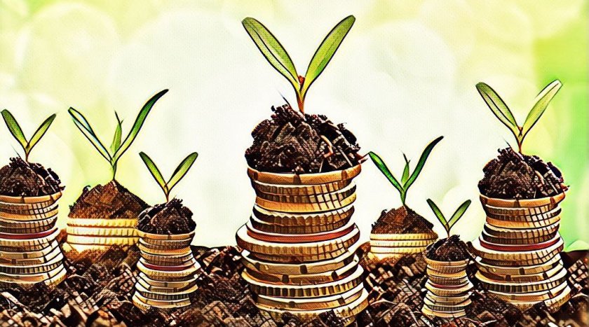 Let's invest money in HYIPs properly or how to not lose your investments