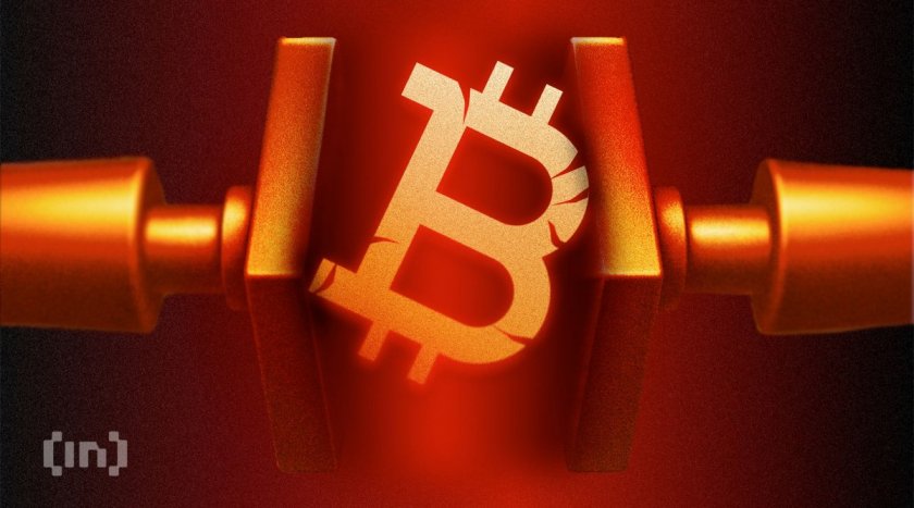 Peter Todd: without social media, bitcoin might not have existed