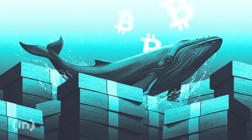 What Crypto Whales Are Buying and Selling as August 2026 and the Fed Decision Near